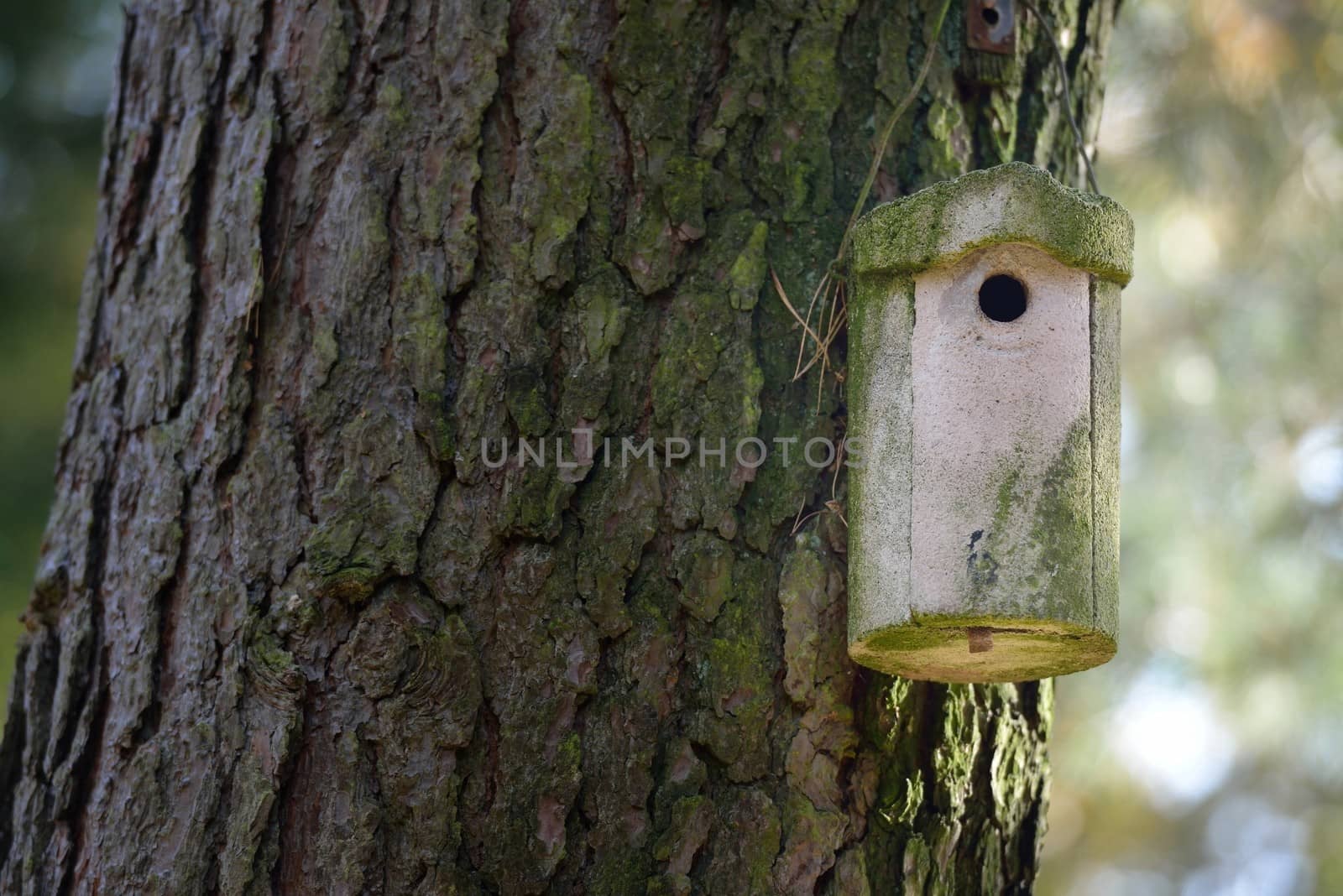 Bird house on a tree