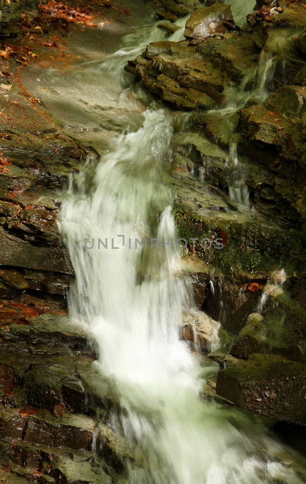 waterfall on brook in forest