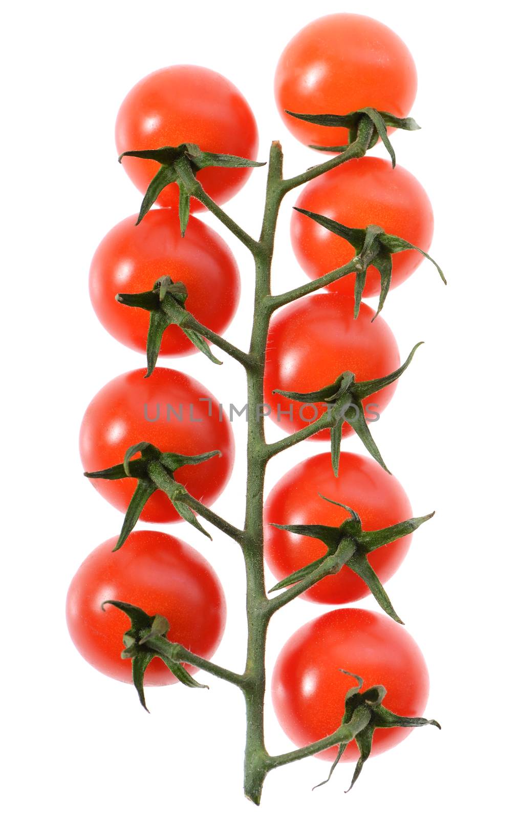 cherry tomatos by hyrons