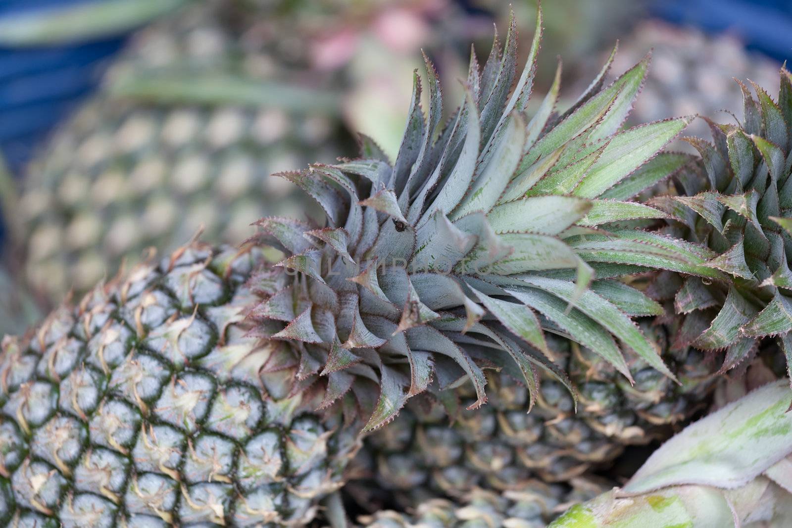 It is a lot of pineapples on a counter in the market in Thailand