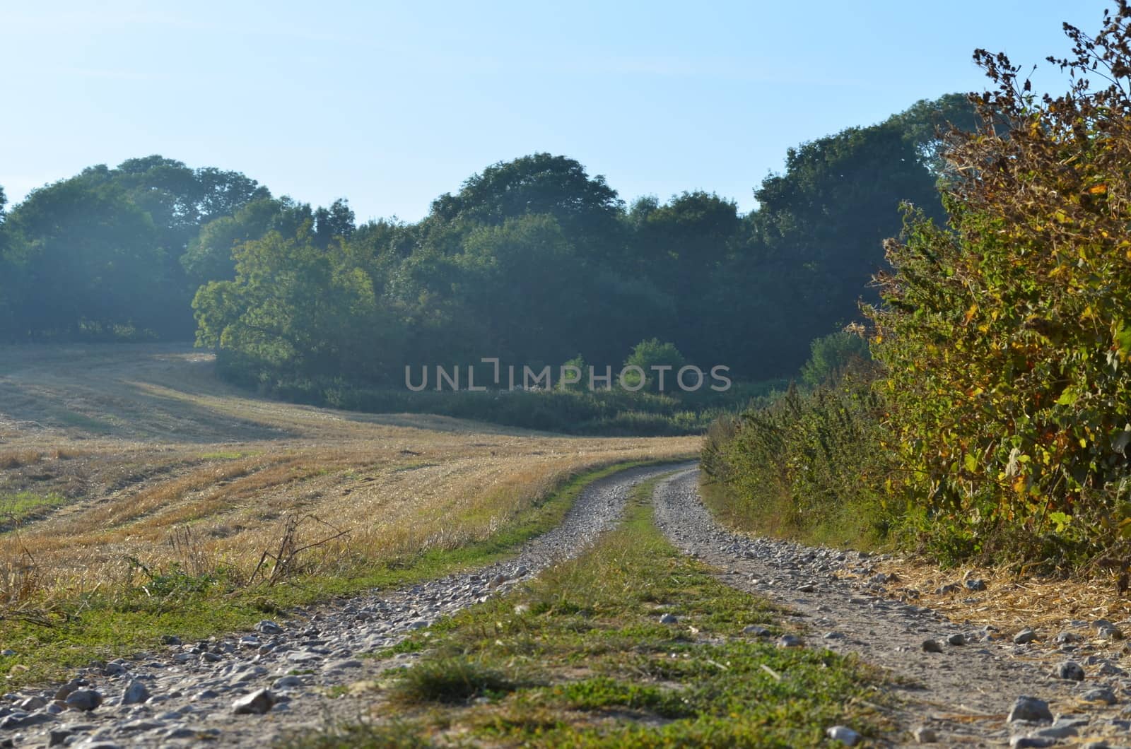 Countryside farm track by bunsview