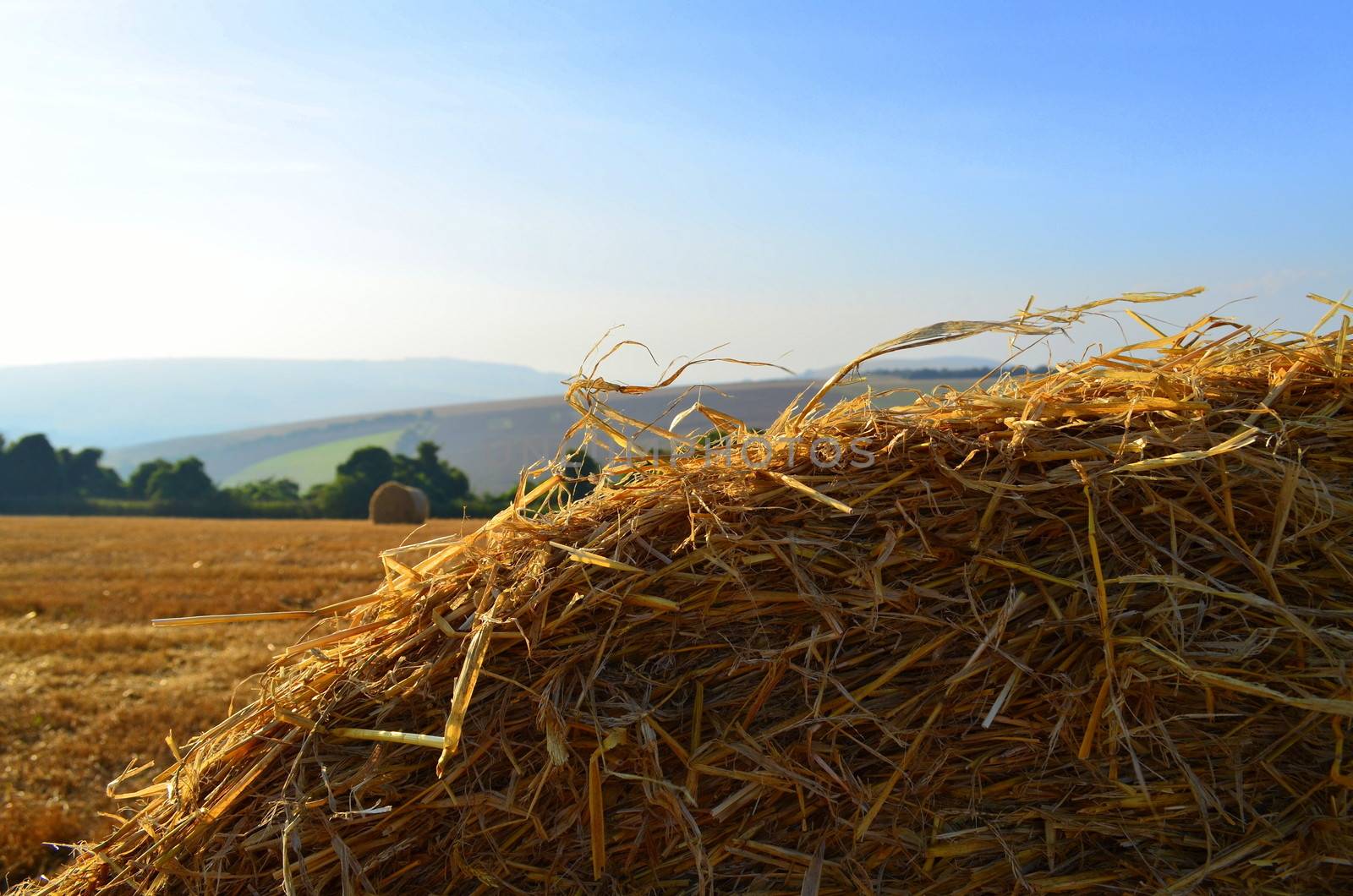 A close up shot of a round hay bale in a English hay field.