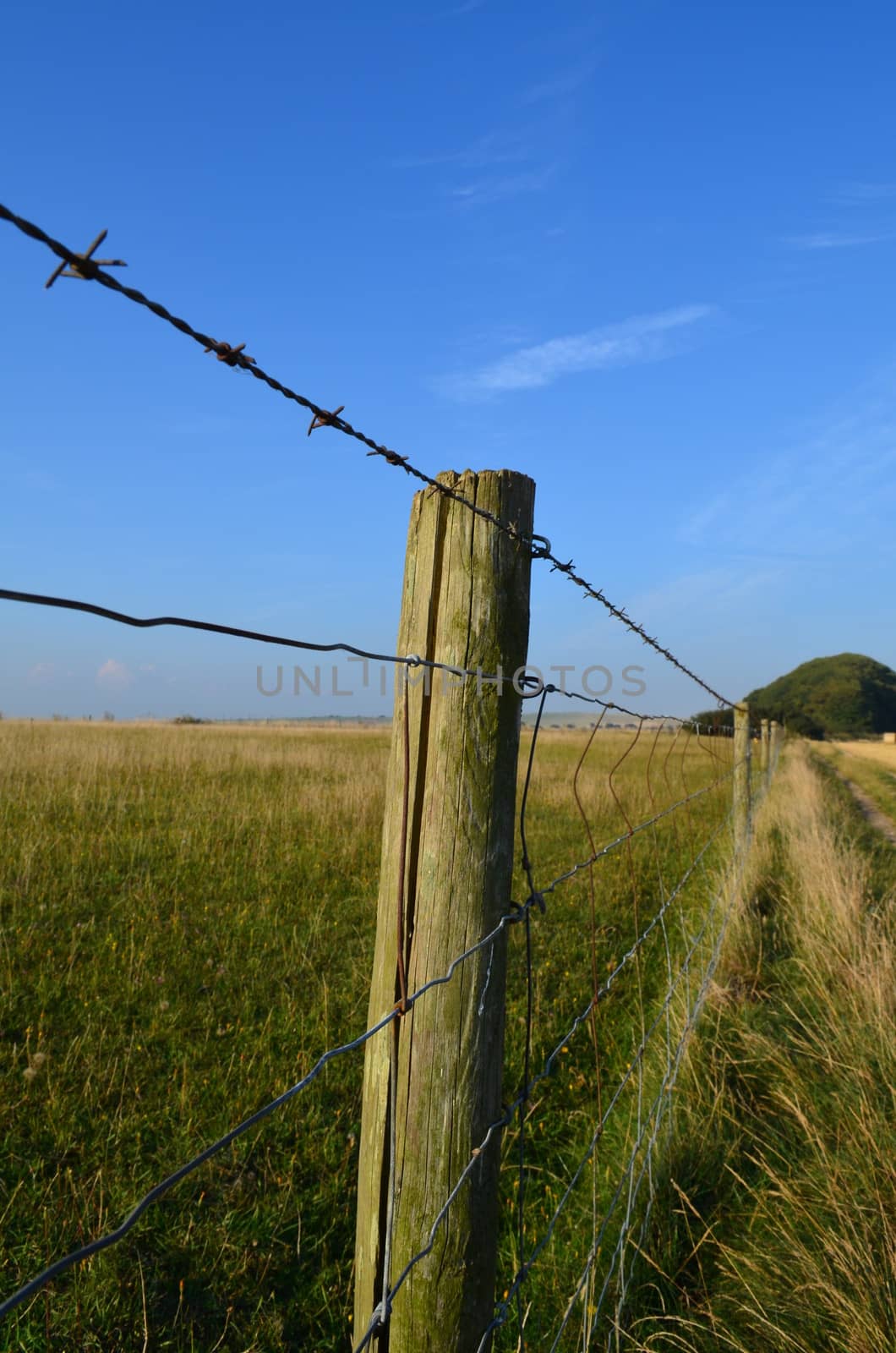 Barbed wire fence along pasture field by bunsview