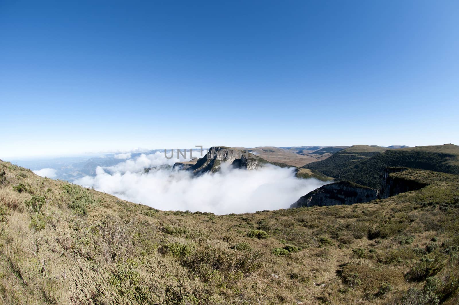 Top of The World, Santa Catarina - Brazil by rodrigobellizzi