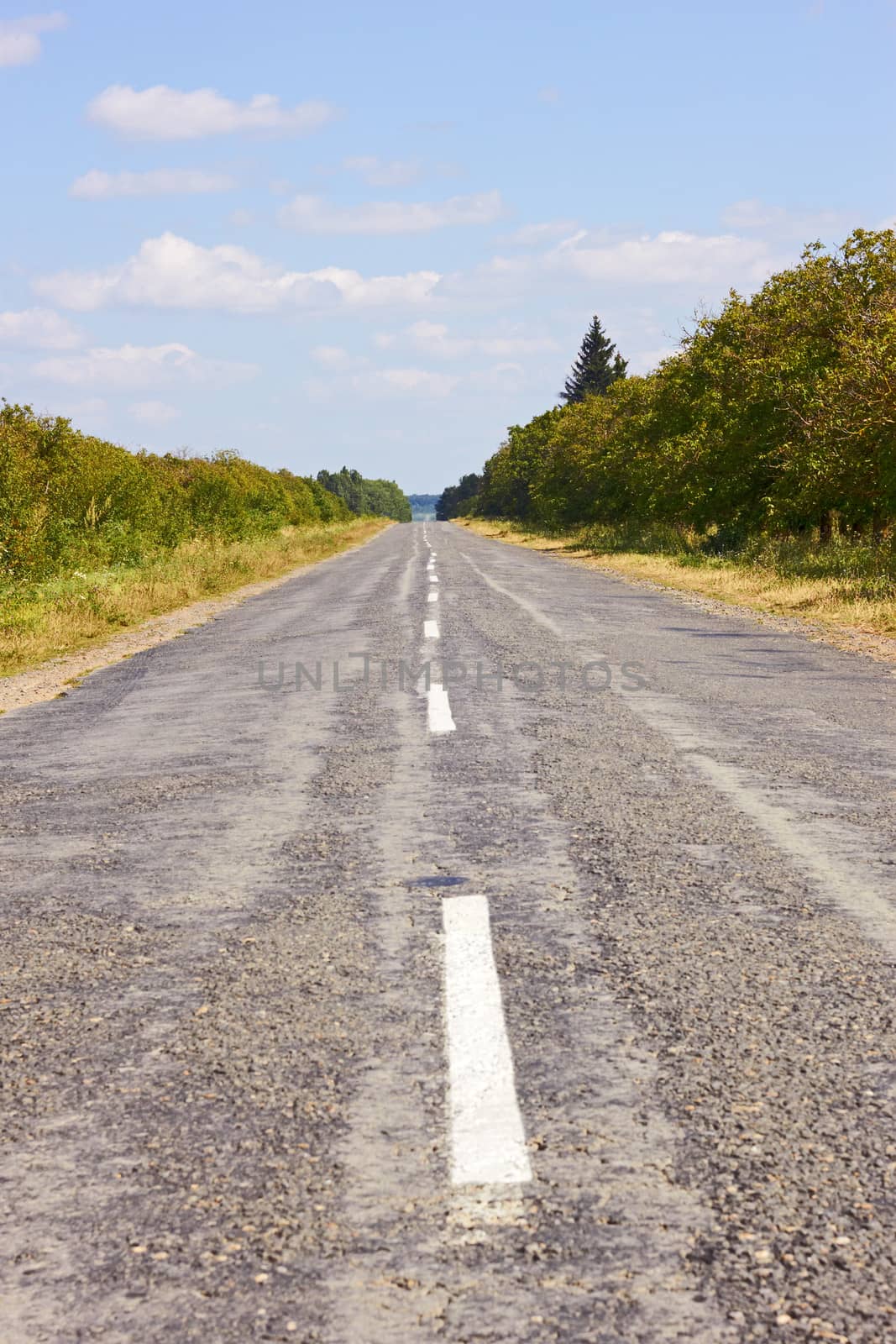 Rural roads covered with asphalt in summertime