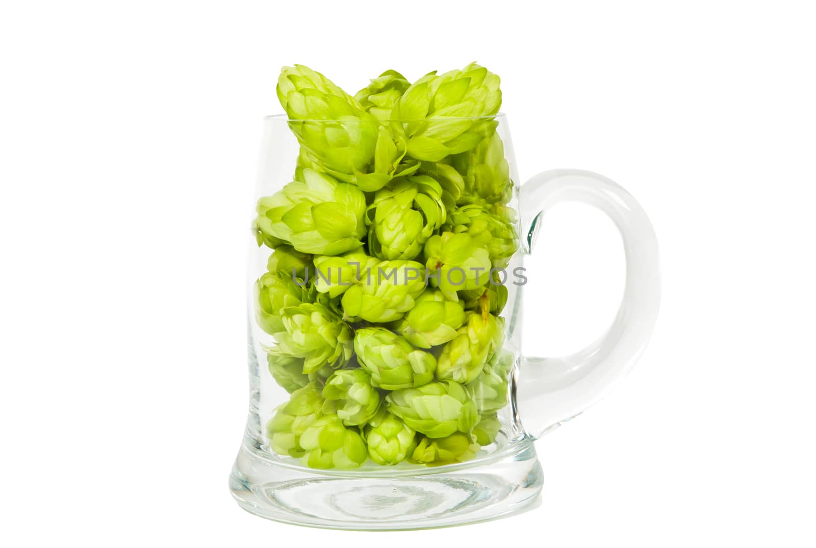 Glass full of hop by RawGroup