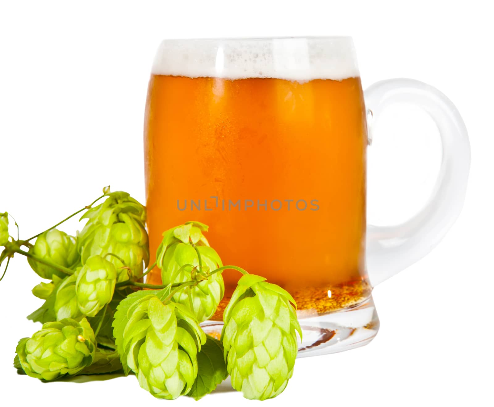 Glass of beer with foam and branch of hop