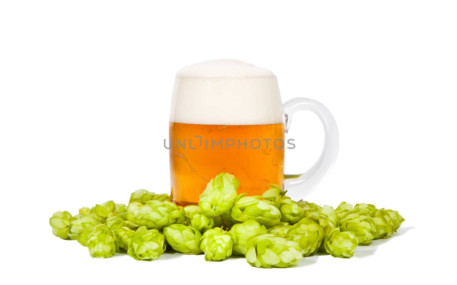 Glass of beer with foam and hop  by RawGroup