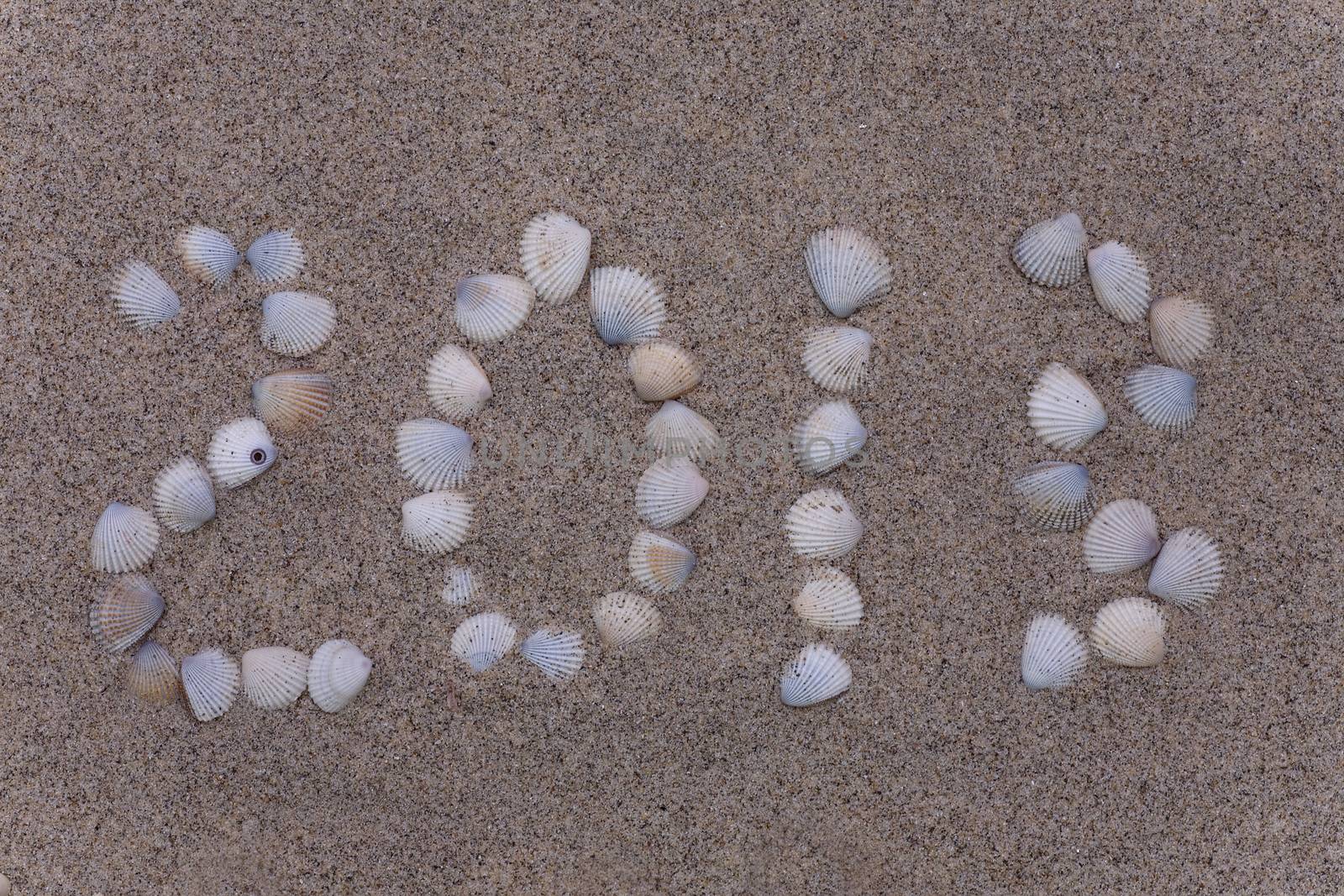 new 2013 year numbers drawings  from shell in the sand on the beach