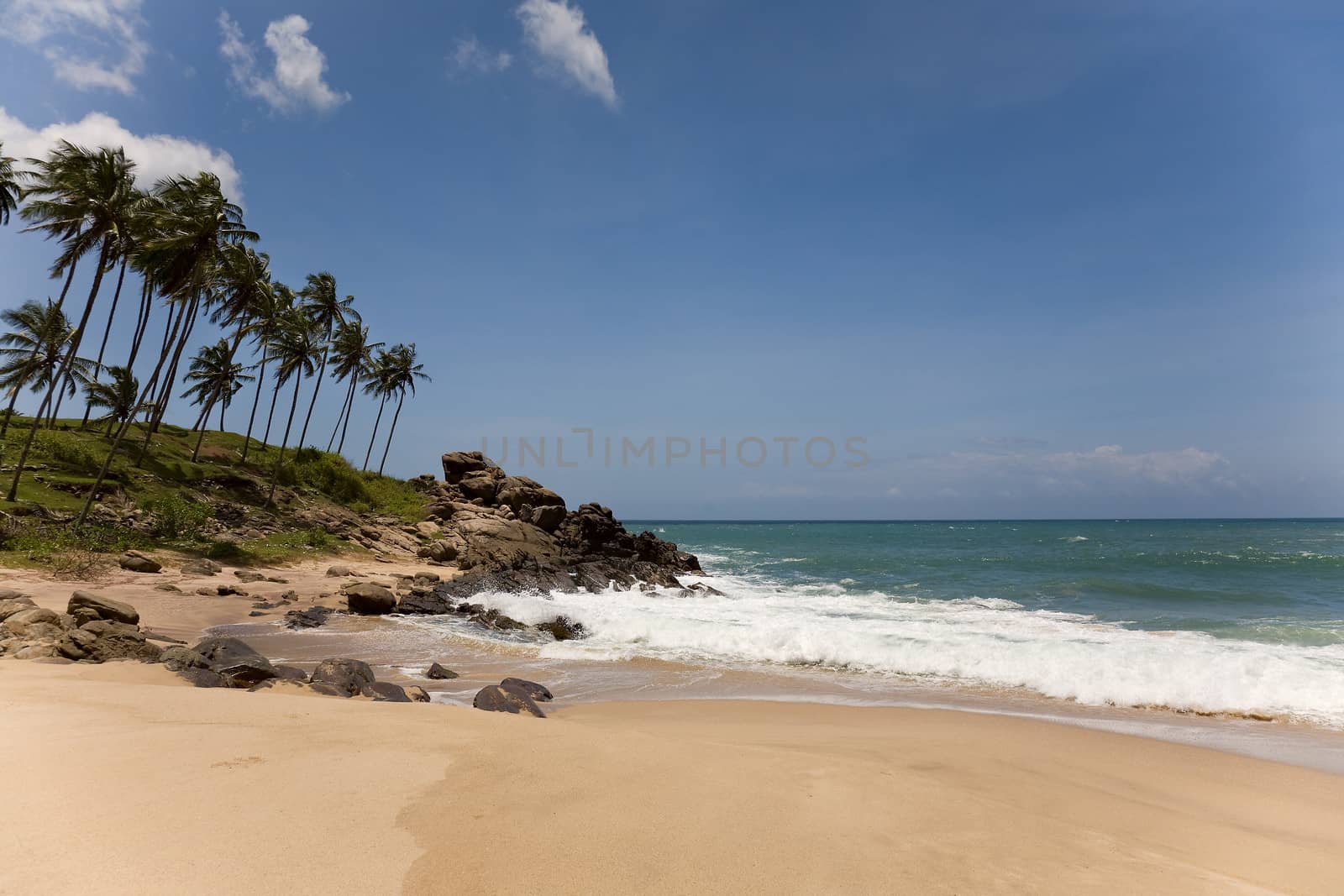  Tropical paradise with trees on beach against blue sky with clo by foryouinf