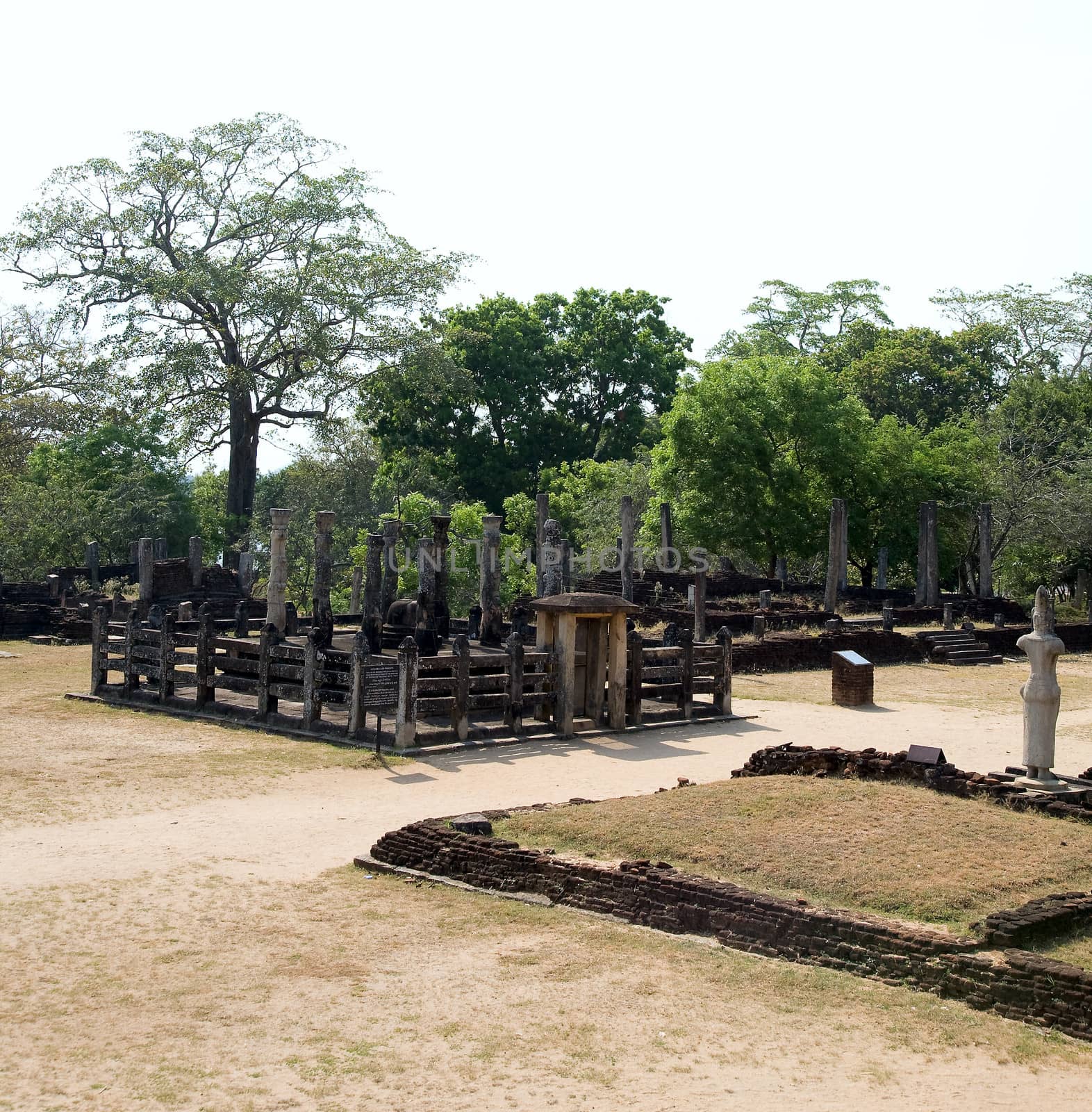 latha mandapaya - lotus anctuary  - ancient capital of Ceylon  in Polonnaruwa, Sri Lanka 