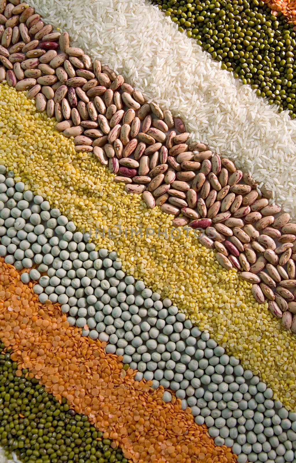 colorful striped rows of dry grains by foryouinf
