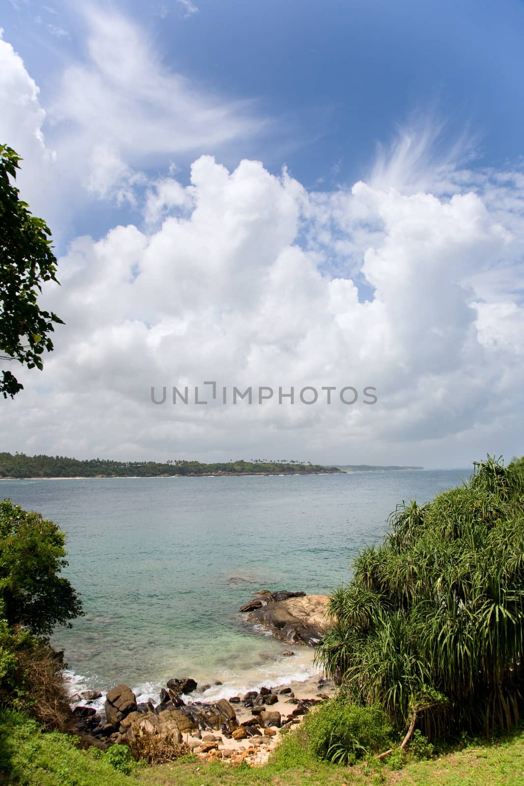 clouds, sea  and beach with trees by foryouinf