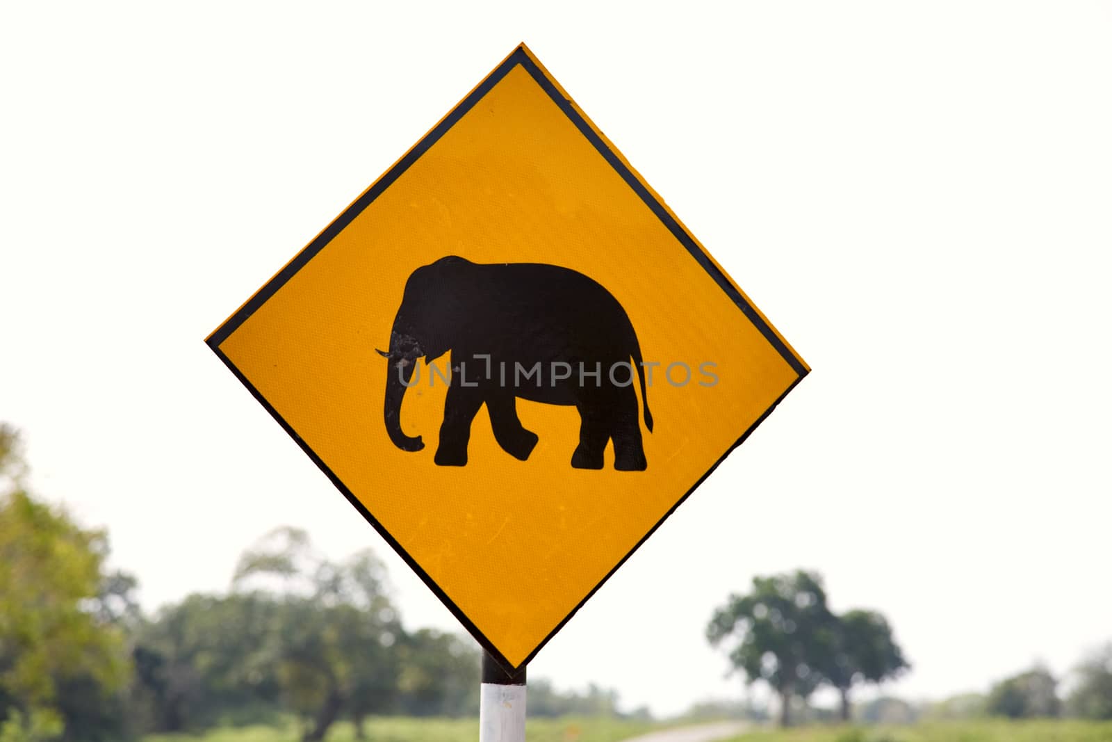 Yellow Elephant wanring sign on the road in Yala nation park, Sri Lanka