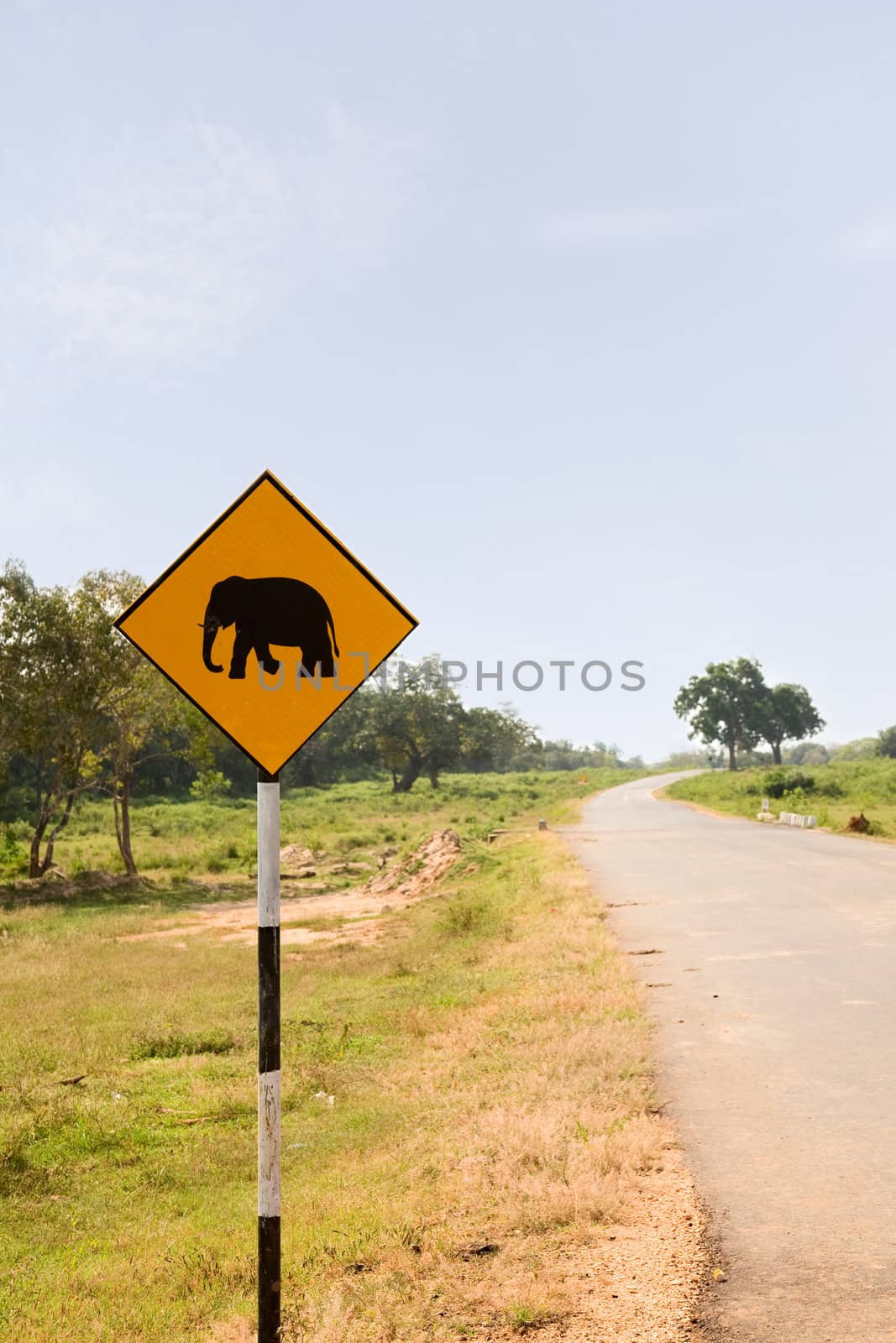 Yellow Elephant wanring sign on the road in Yala nation park, Sri Lanka 