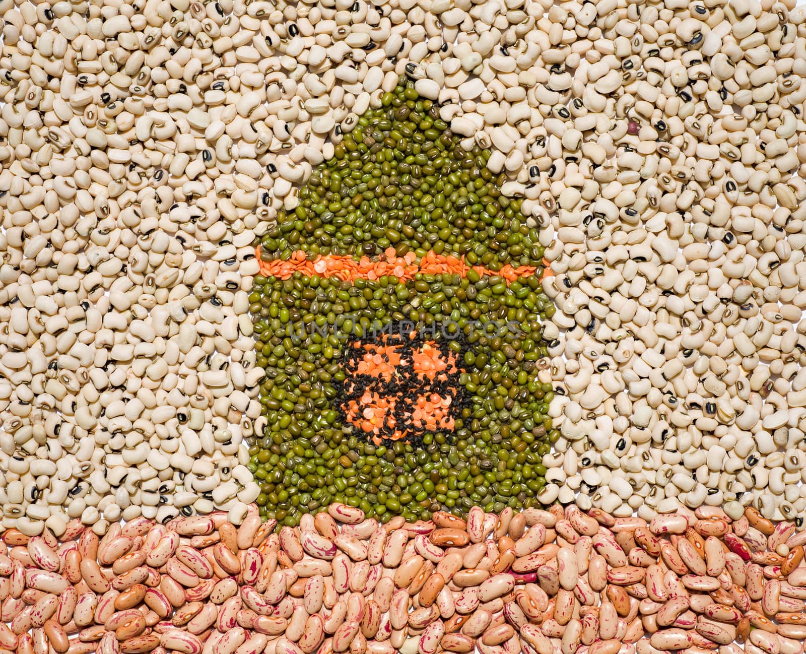 eco house metaphor from grain of bean, lentil, mash