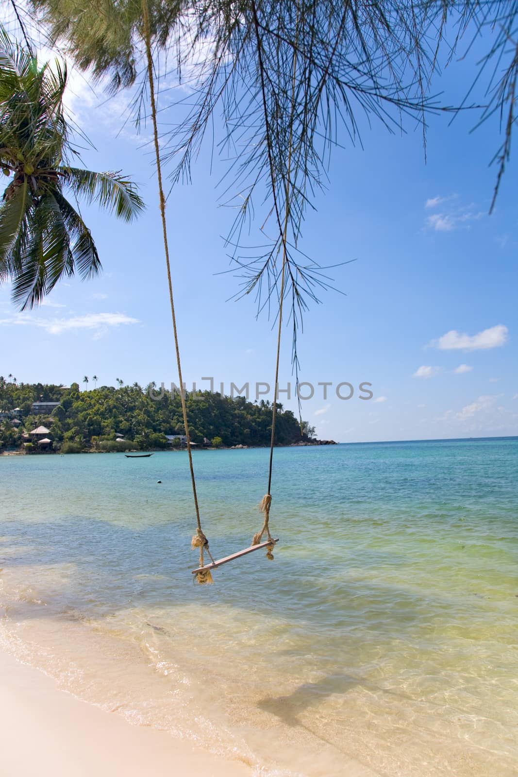 View of tropical beach with  Old  Swing Tied to anTree in Koh Panangan