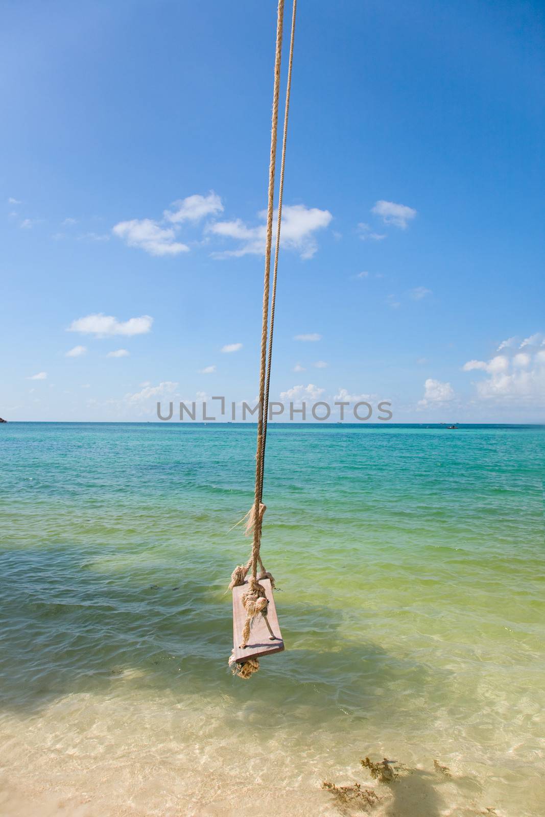 View of tropical beach with  Old  Swing Tied to anTree in Koh Panangan