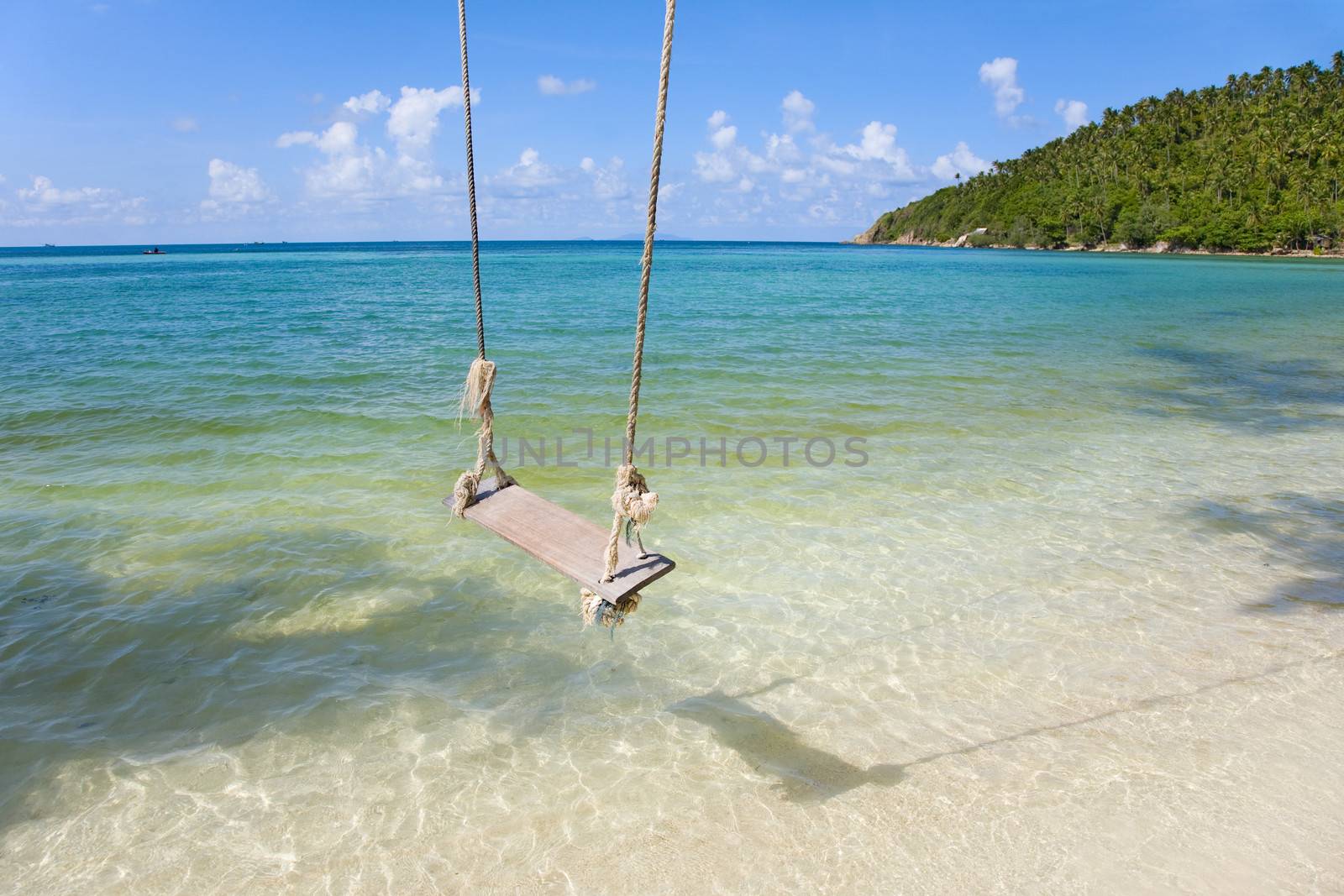 View of tropical beach with coconut palm trees  and Old  Swing Tied to   Tree in Koh Panangan