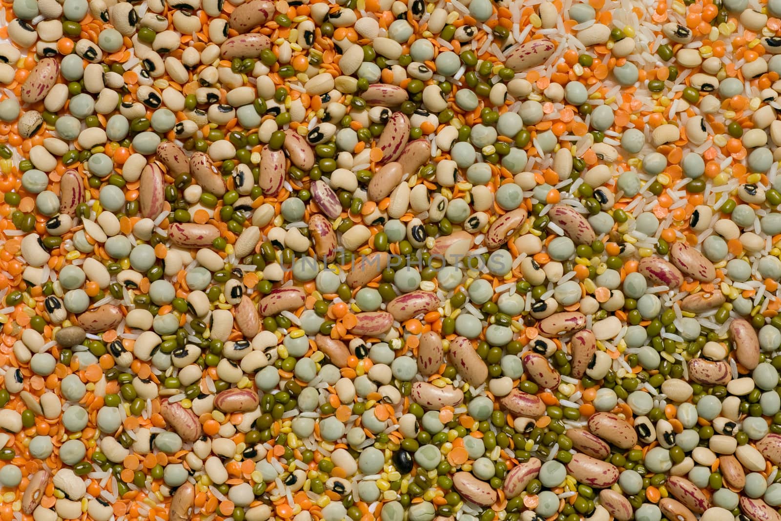 Variety of pulses essential for human life by foryouinf