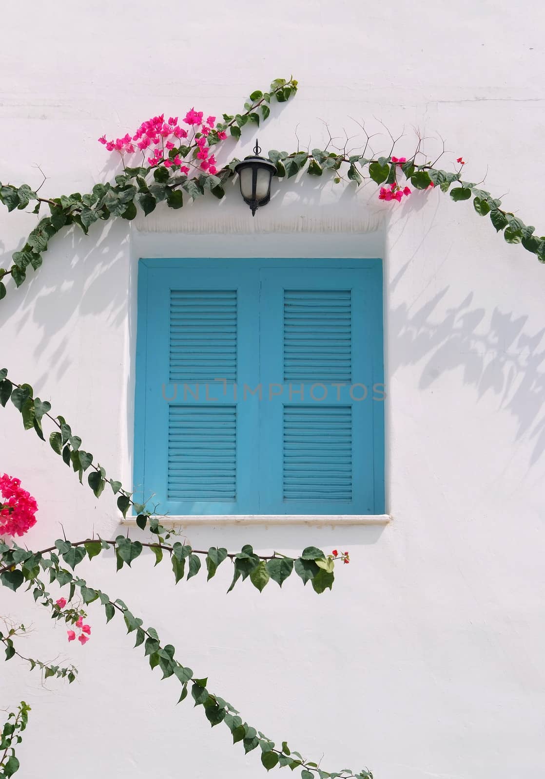  blue window on the white wall  by opasstudio