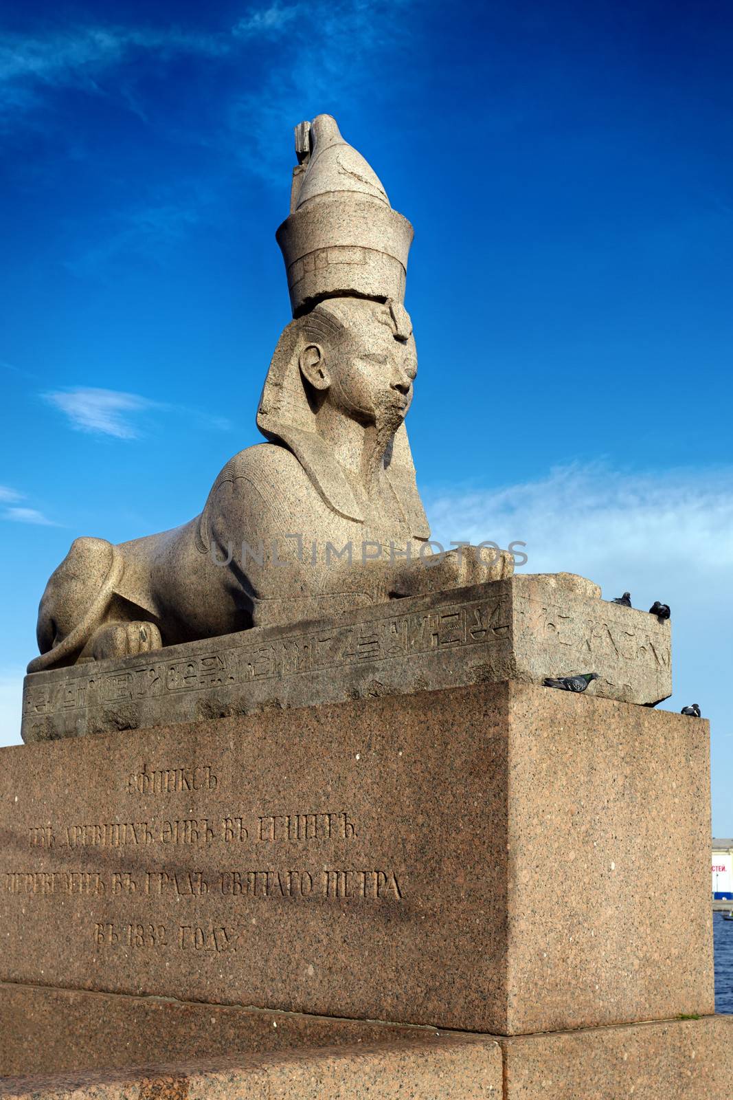 Sphinx on embankment of the river Neva in St.Perersburg. Russia