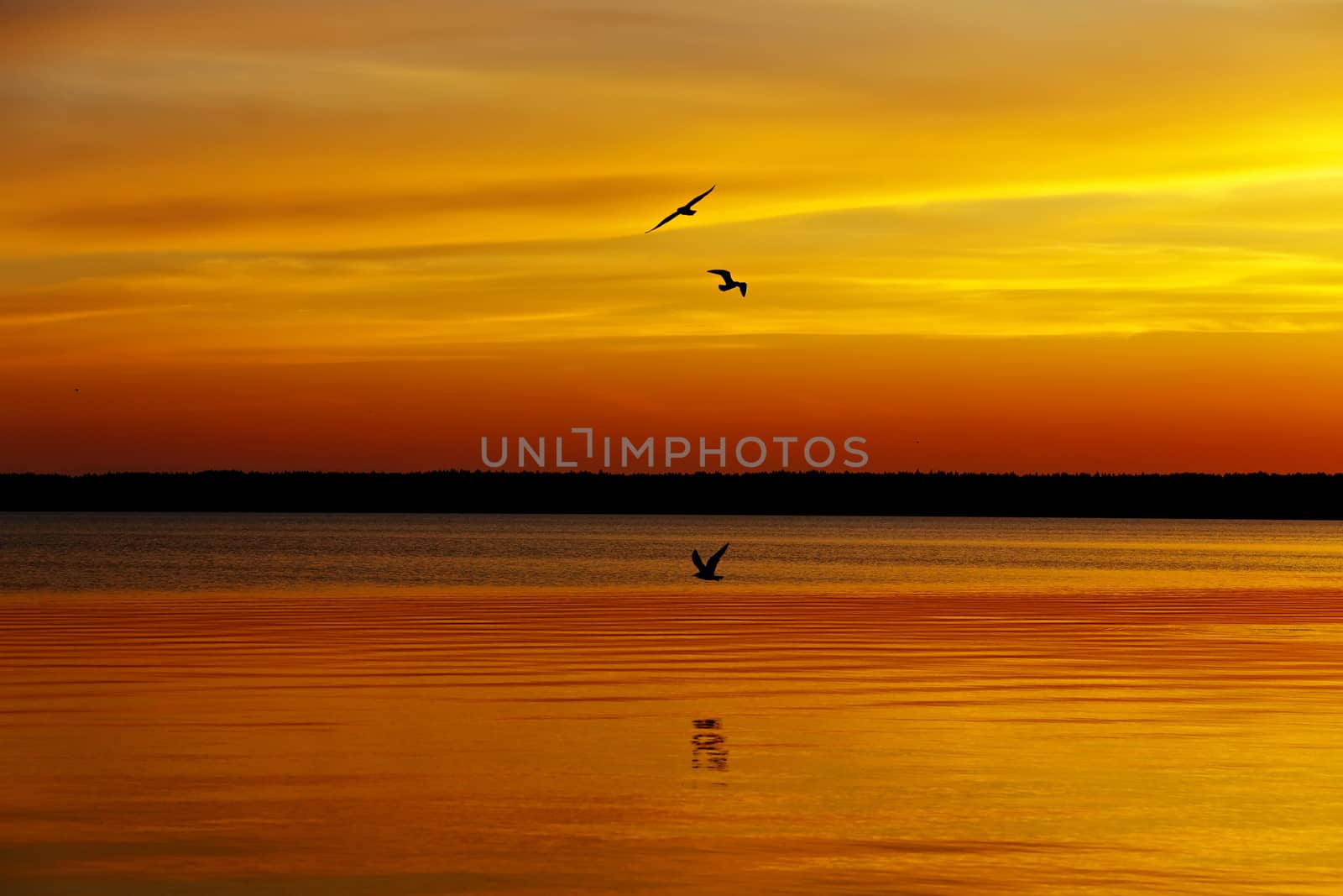 Orange sunset lake by Roka