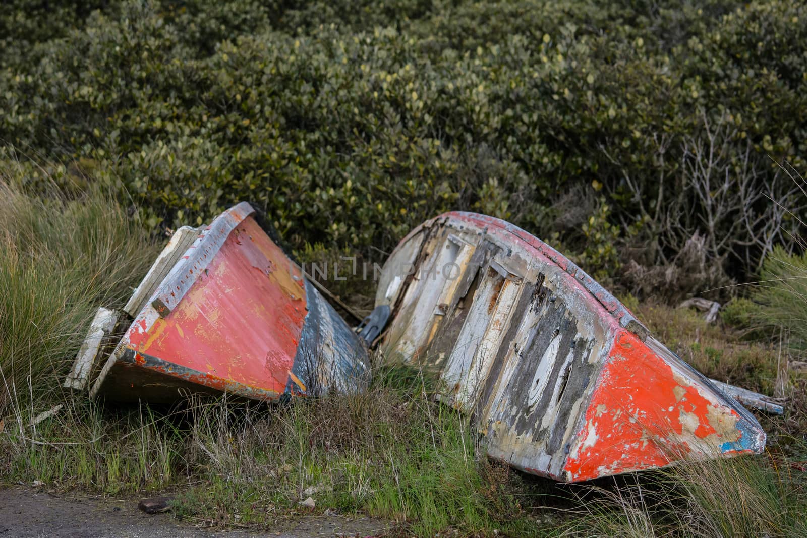 old abandoned kayaks