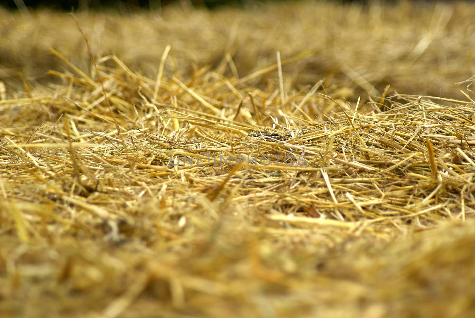 Details of hay straw on a bale in close up view agriculture background image