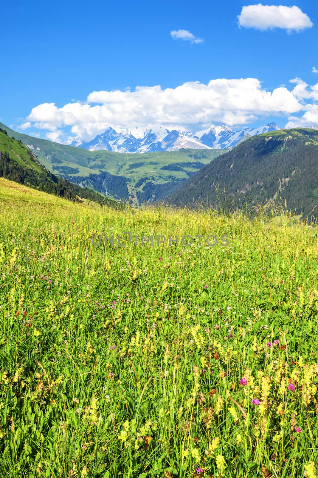 landscape of french Alps in summer