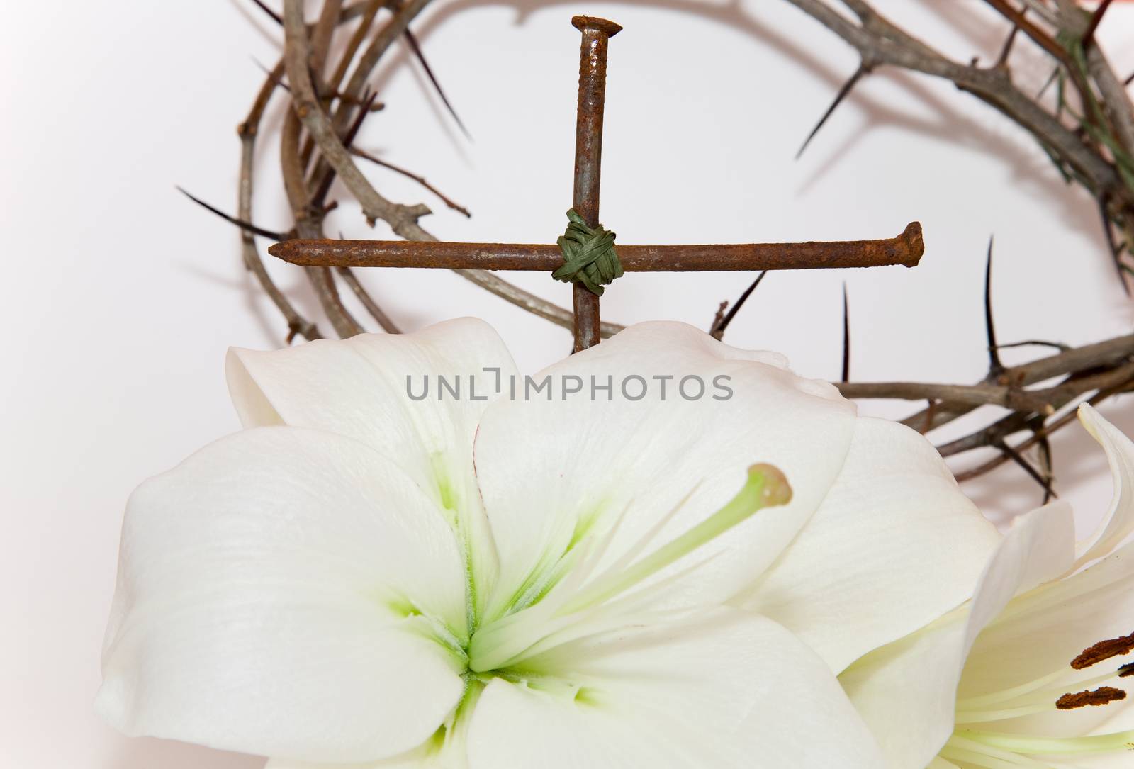 Crown of Thorns, crucifix and Easter white Lily  on  white background