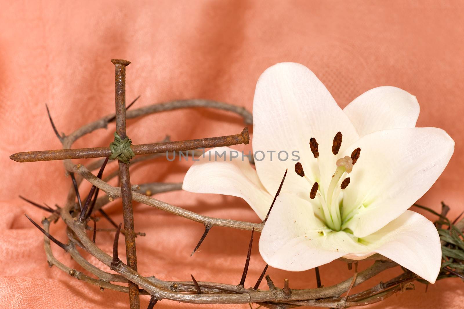 Crown of Thorns, crucifix and Easter white Lily by foryouinf