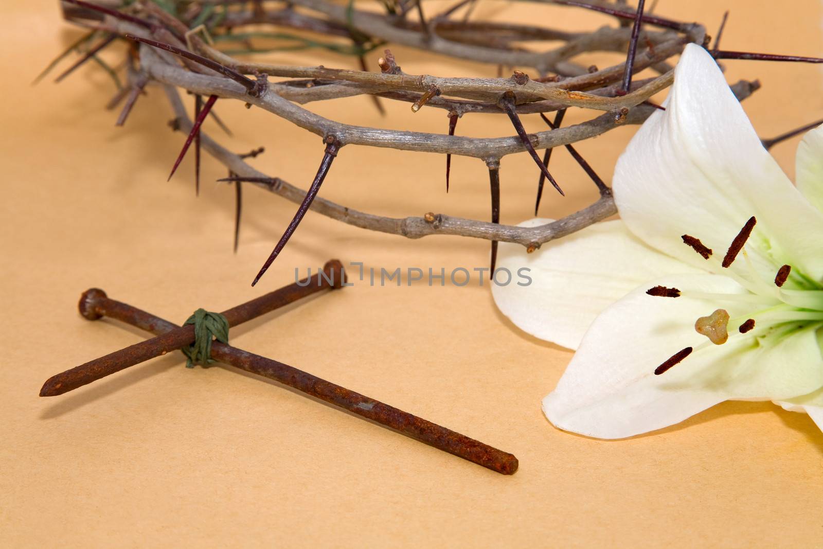 Crown of Thorns, crucifix and Easter white Lily  by foryouinf