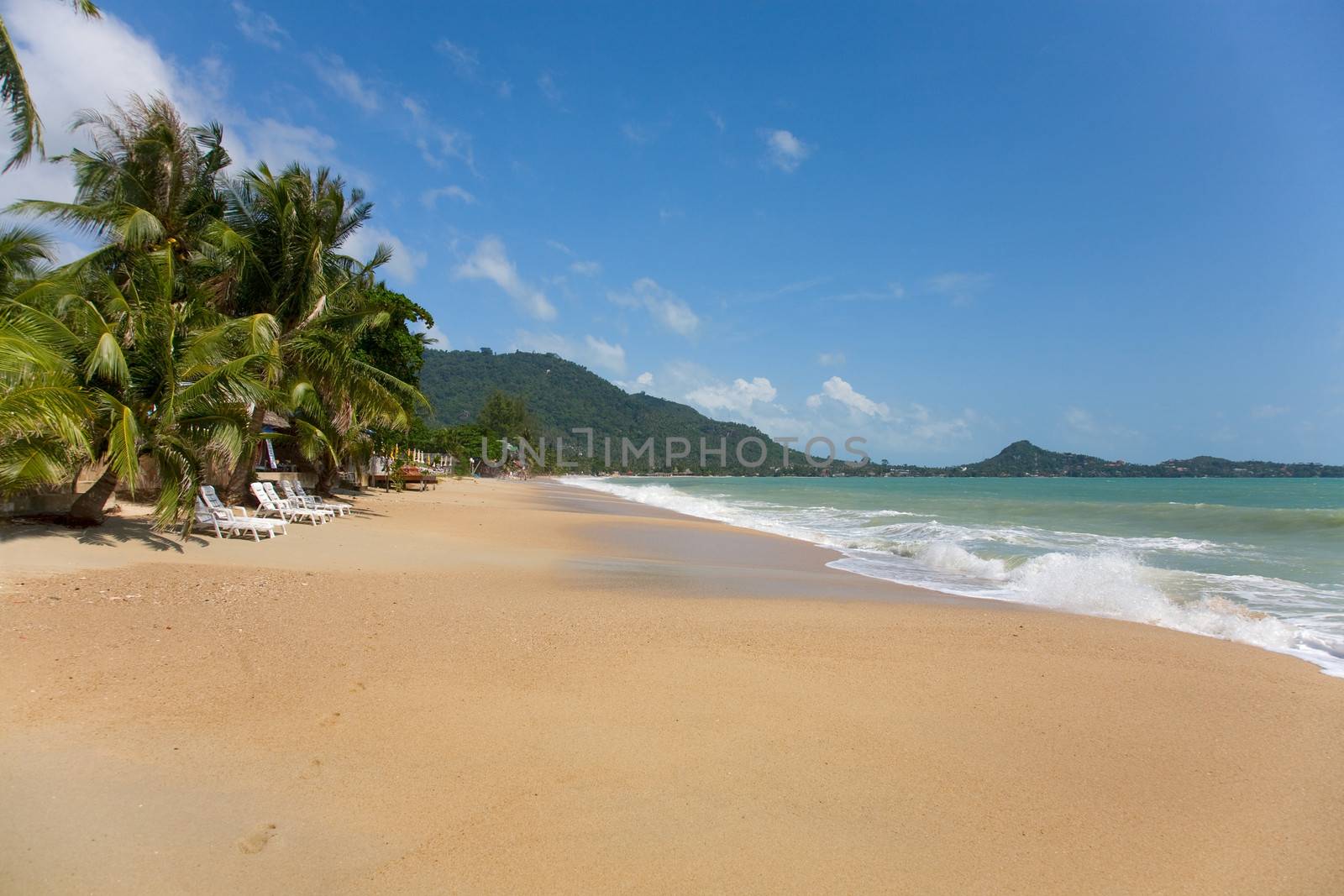 sea and beach with coconut palm on Lamai Beach in Koh Samui, Thailand 