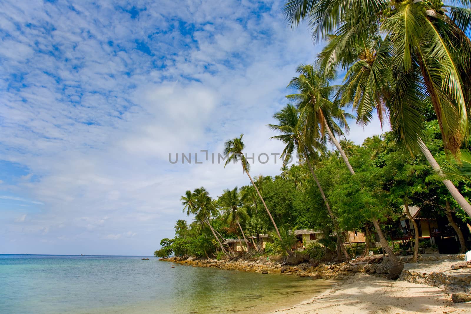 sea and beach with coconut palm  and houses by foryouinf