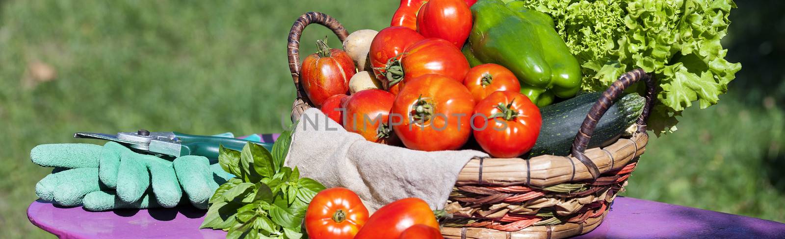 Some vegetables in a basket, panoramic view