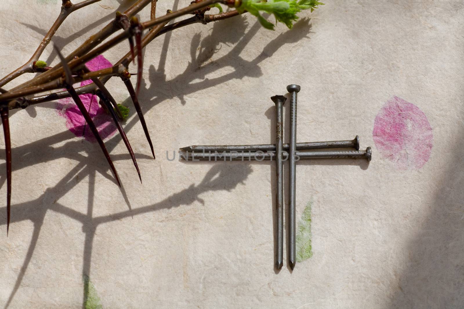 Crown of Thorns and crucifix on   paper background