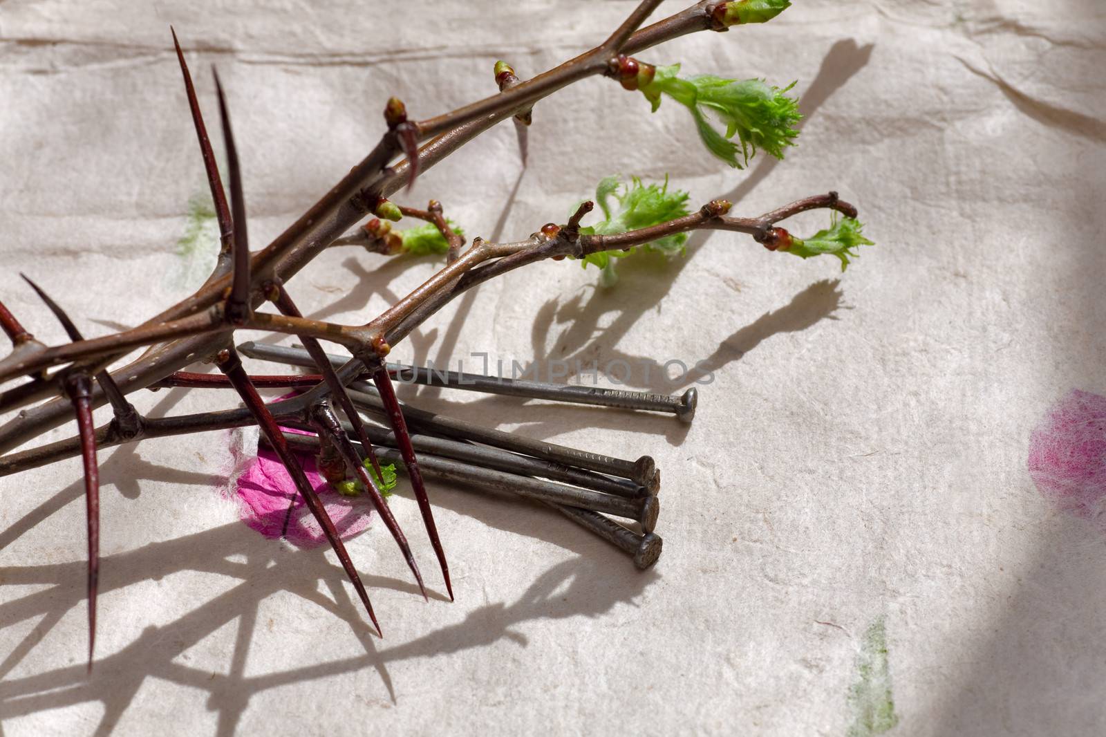 Crown of Thorns and nail  on  paper background