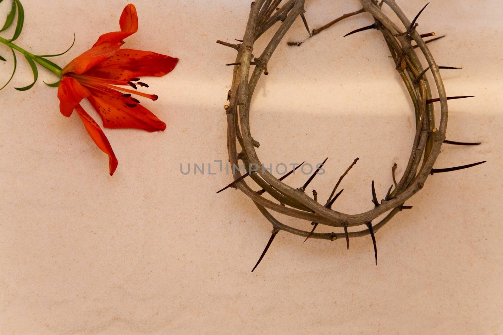Crown of Thorns and orange Lily on sand background