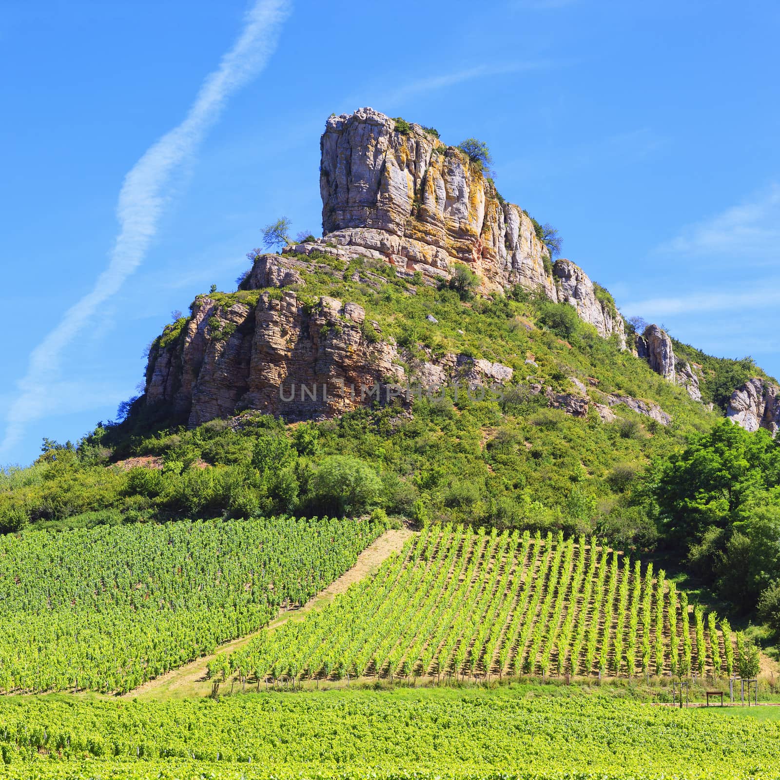 famous Solutre Rock with vineyards in Burgundy, France