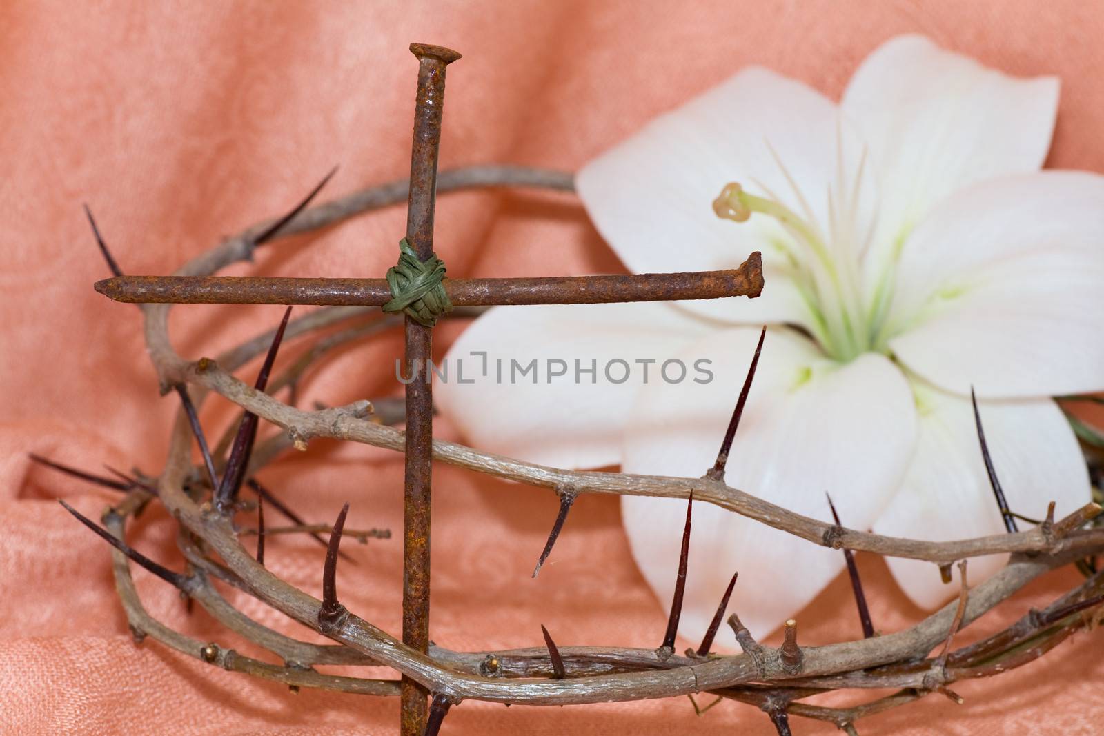 Crown of Thorns, crucifix and Easter white Lily on  Beige background