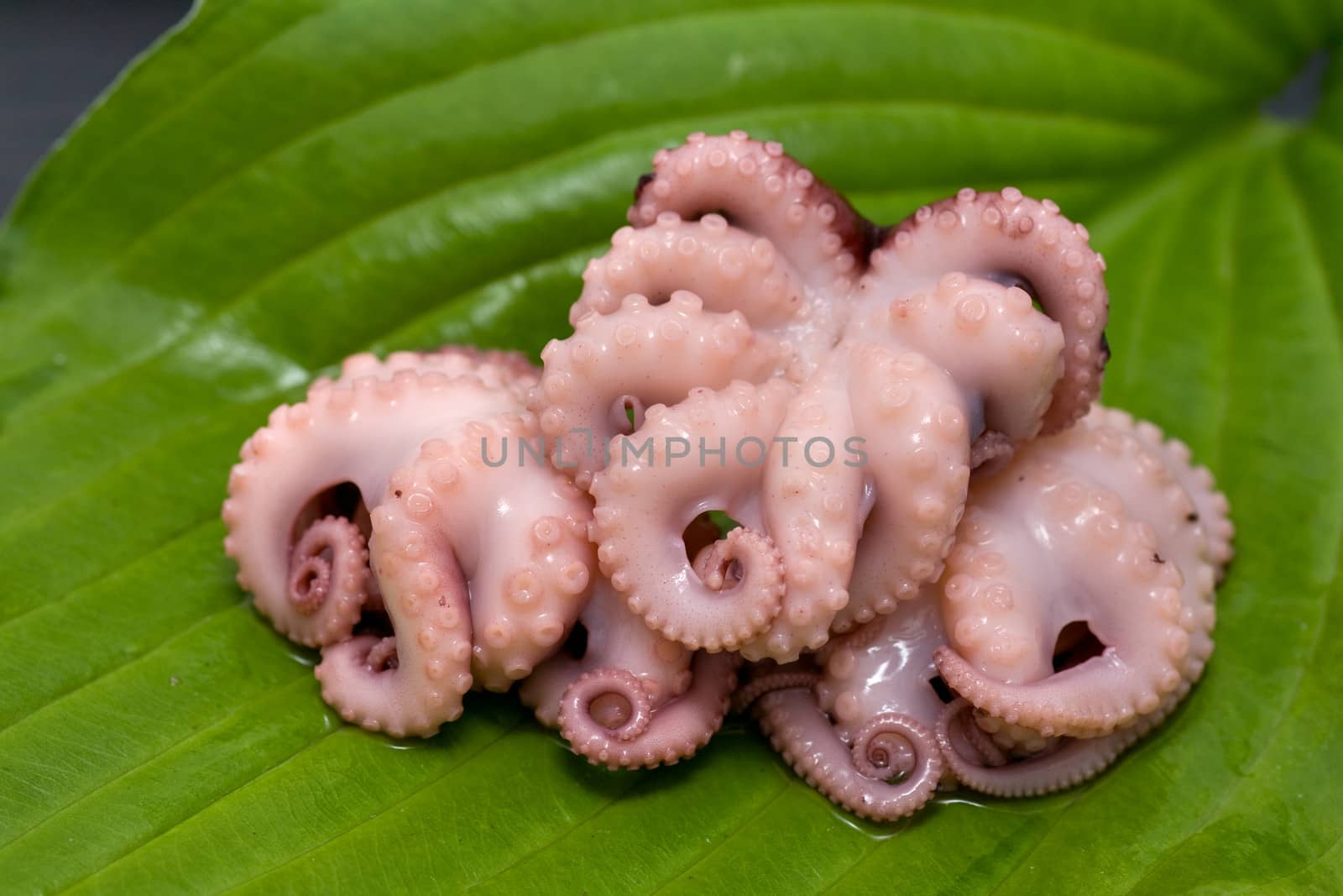 Delicious cooked octopus on green fresh  leaf