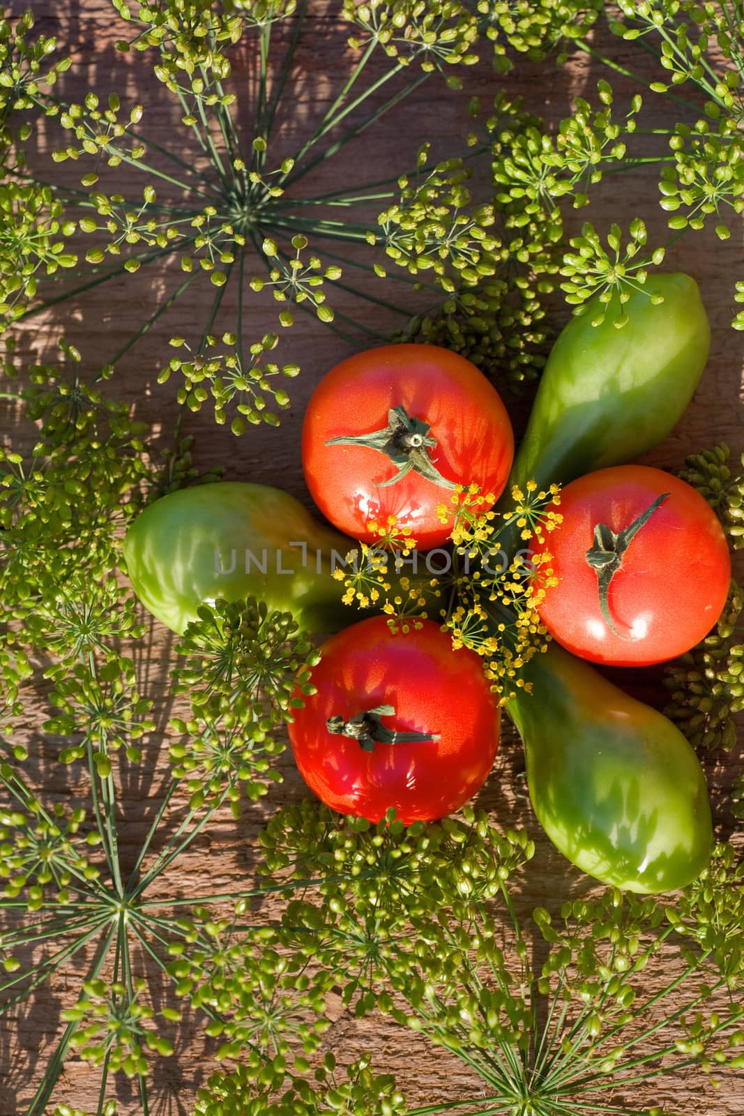 fresh green and red tomatos and dill on wooden table