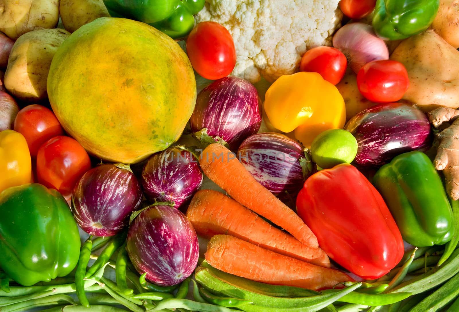 fresh homegrown vegetables on  table in garden  at summer day