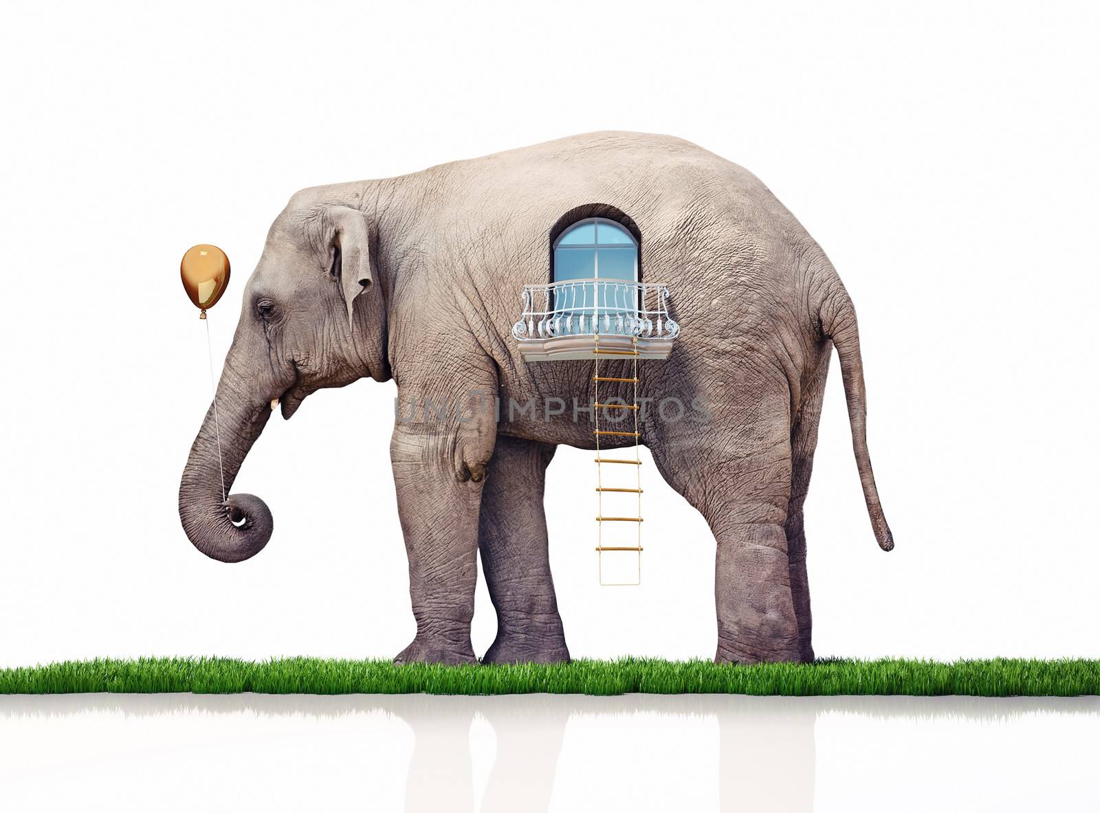 elephant as a house. creative concept