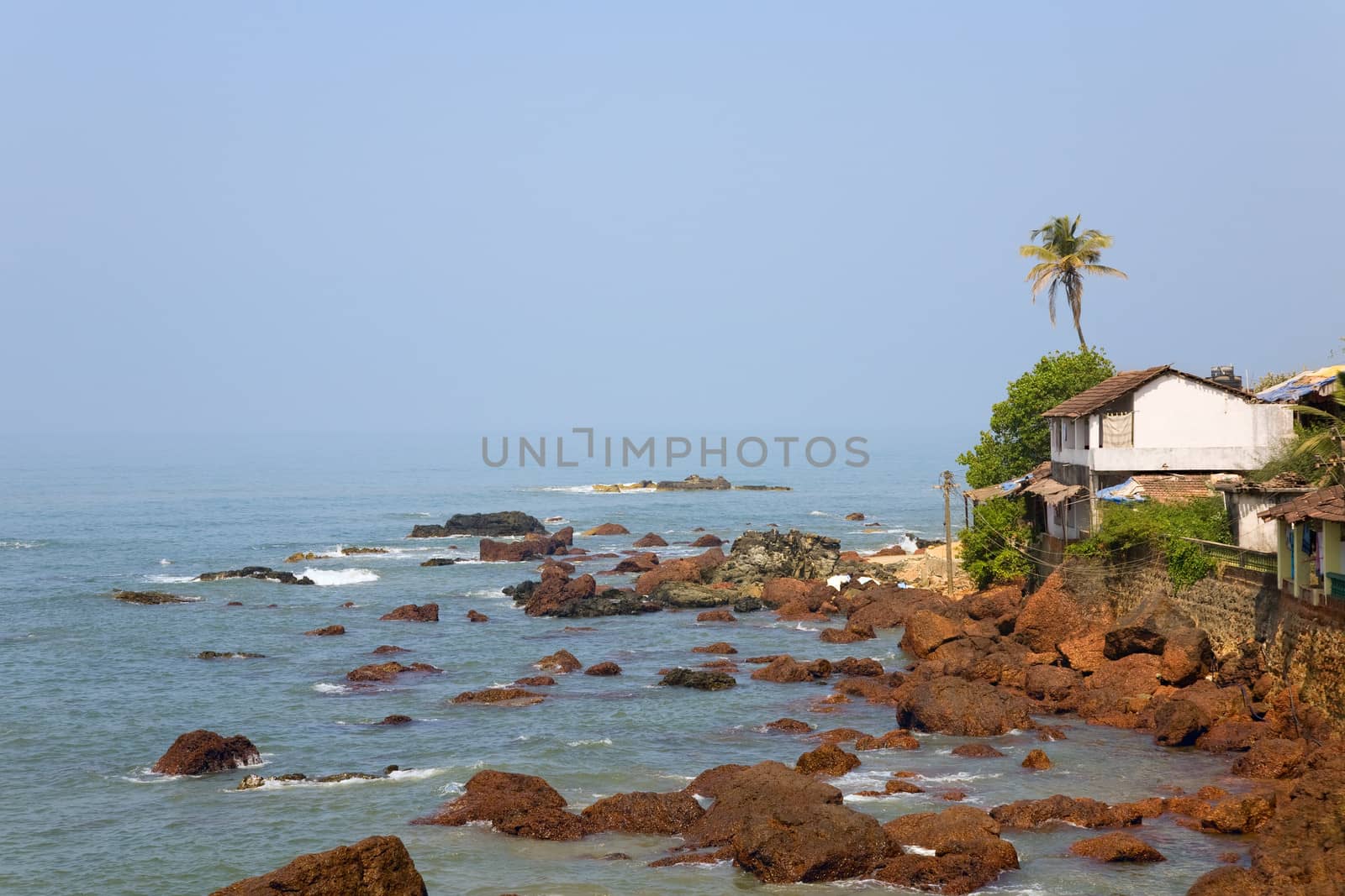 sea and beach with coconut palm  and houses