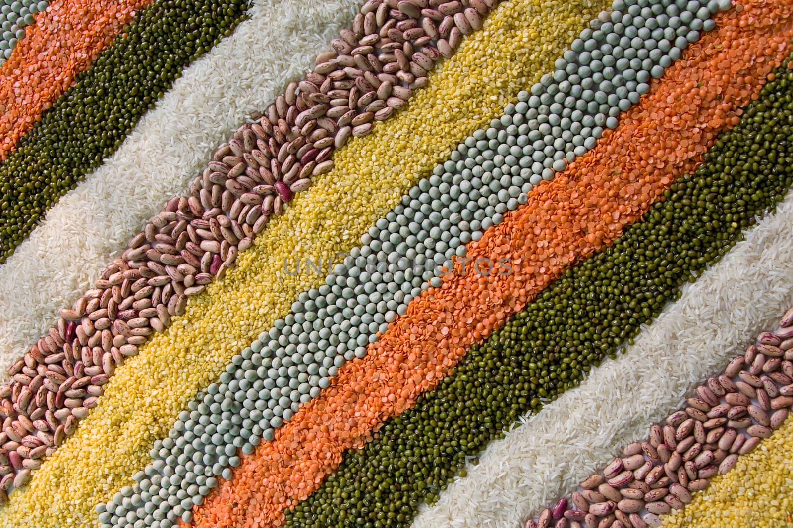 colorful striped rows of dry beans, legumes, peas  by foryouinf