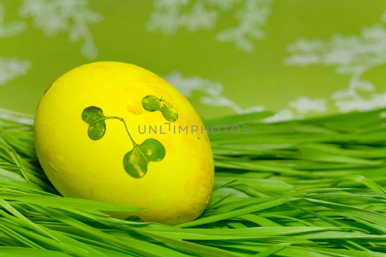 Easter Egg on green Grass by foryouinf