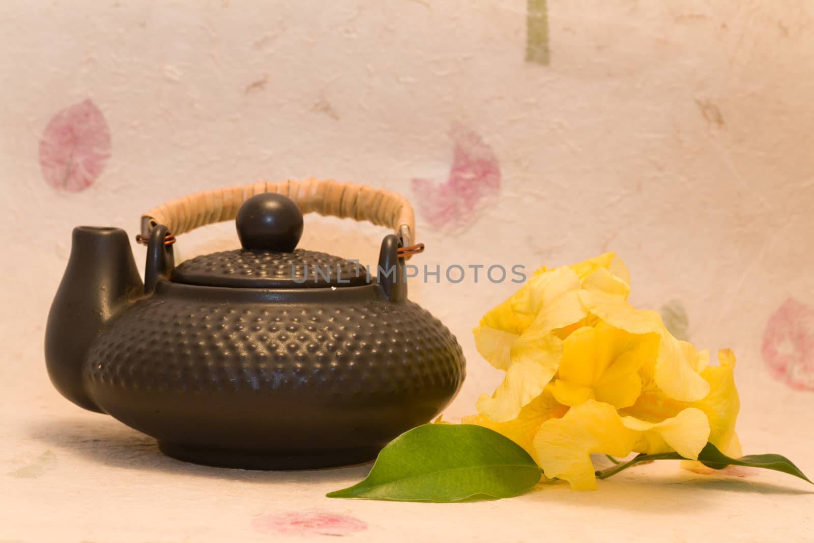  Yellow iris and black teapot  by foryouinf