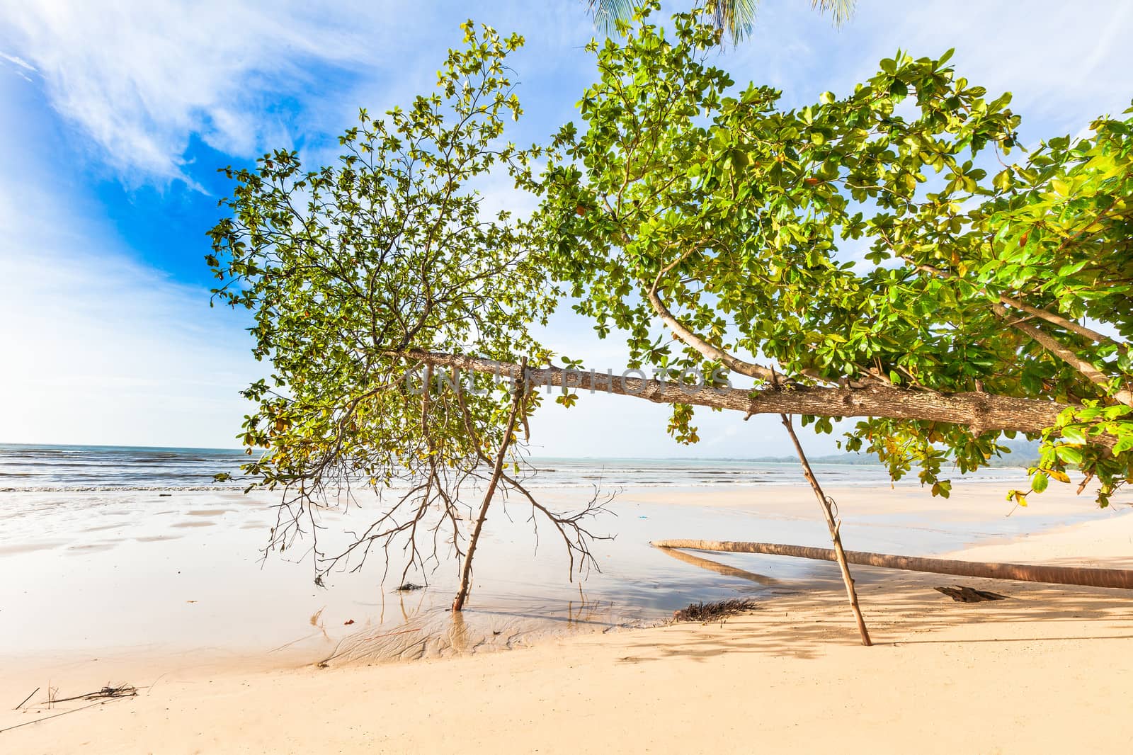 Bangsak beach in blue sky and palm trees by jame_j@homail.com